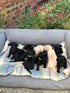 Luxury Waterproof Dog Throw